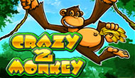 Crazy Monkey 2