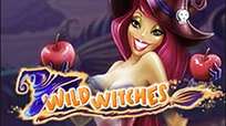 Wild witches